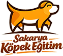 Sakarya Kopek Egitim